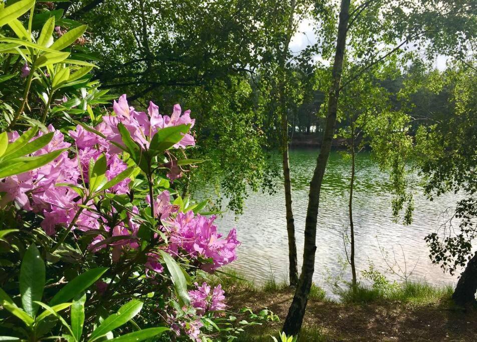 Forestry Cottage. Hot Tub, Open Fire, Dog Friendly Gaywood Kültér fotó