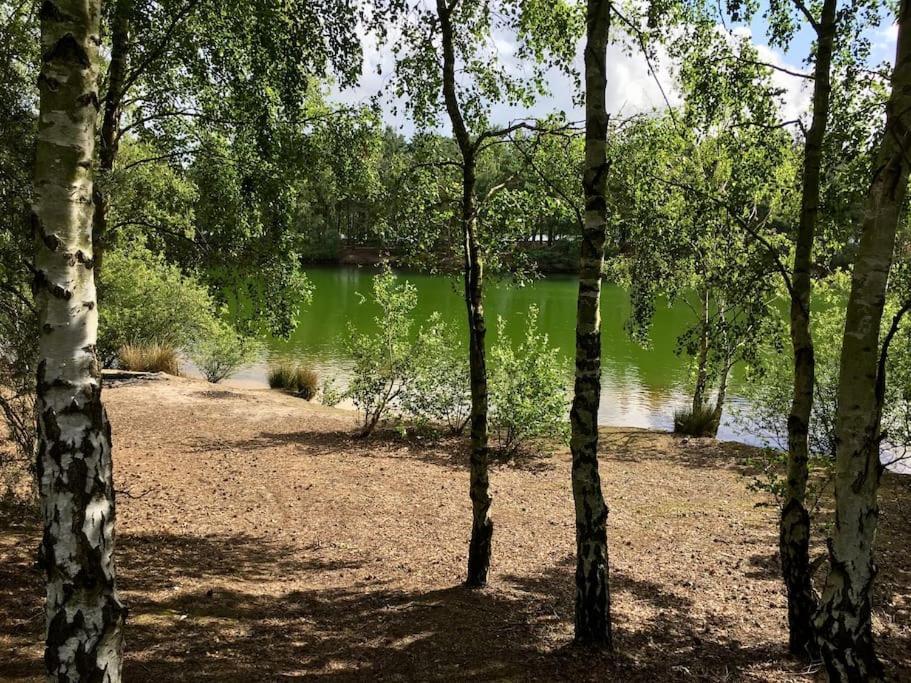 Forestry Cottage. Hot Tub, Open Fire, Dog Friendly Gaywood Kültér fotó